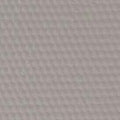 FOCUS23